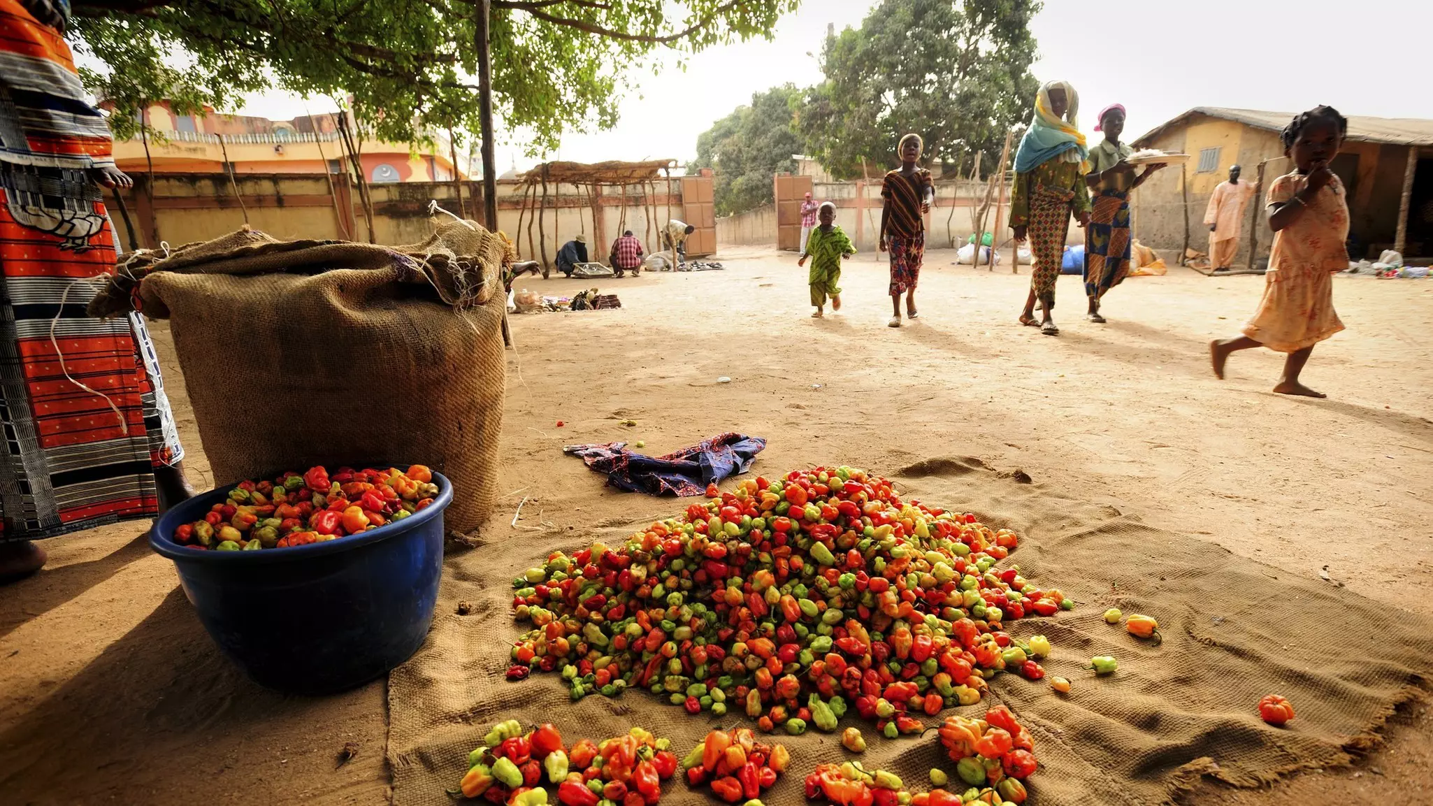 Local produce is the cheapest choice in Benin © Yannick Tylle / Getty Images
