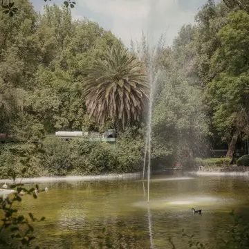A jet of water shoots up from a pool of greenish water in a park in Mexico City.