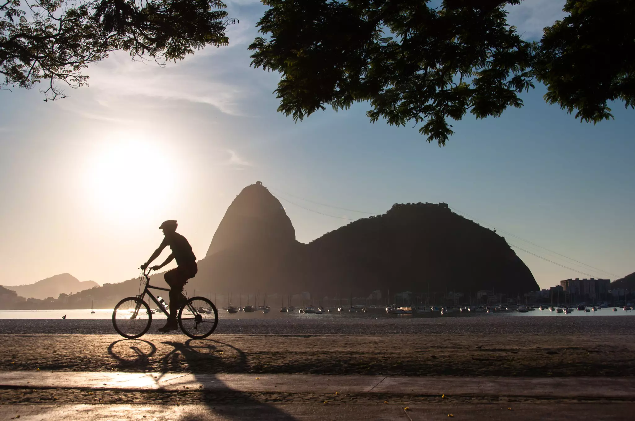 Silhouette of a Man Cycling in the Early Morning during Beautiful Warm Sunrise in Rio de Janeiro with Sugarloaf Mountain in the Horizon.