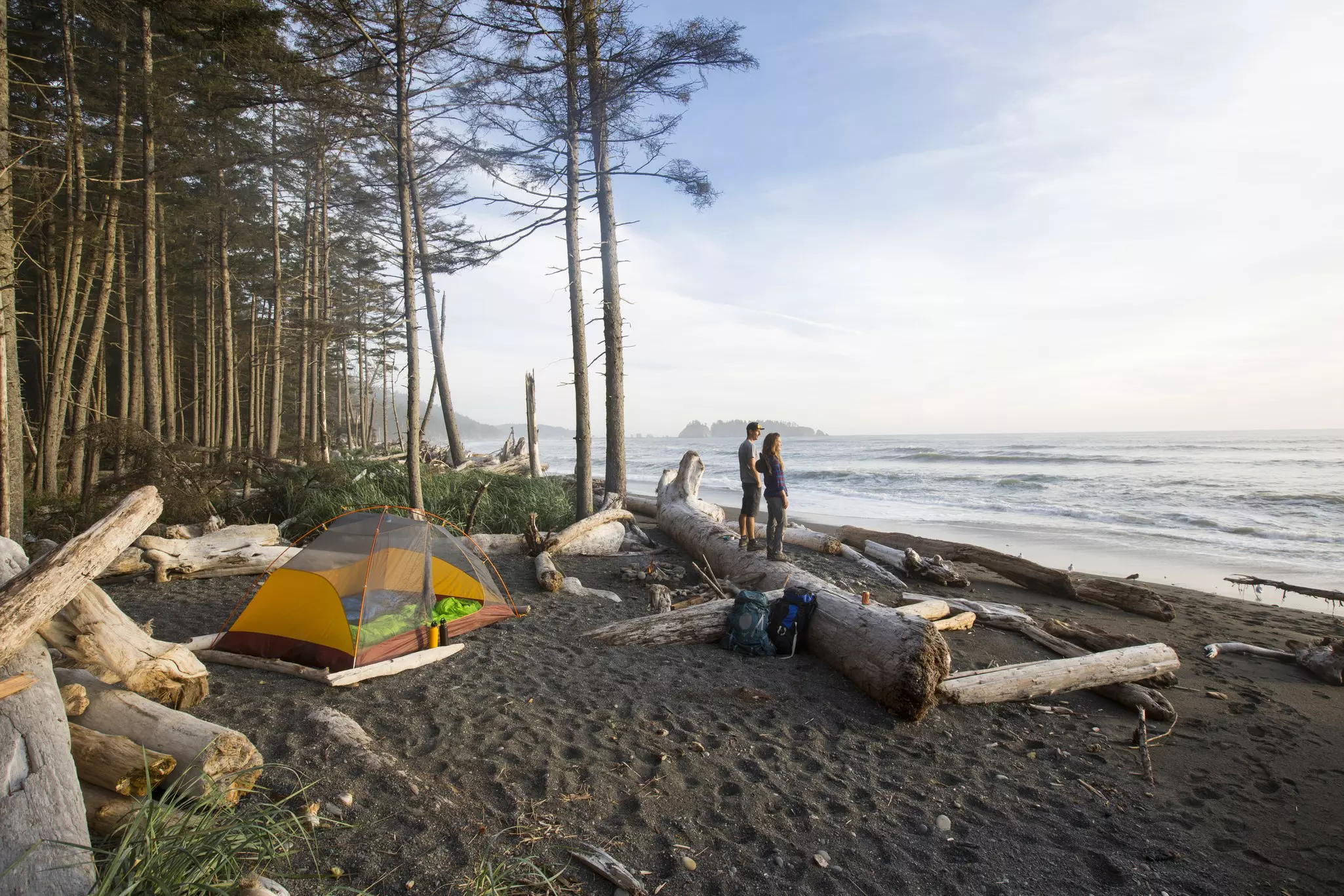 A man and woman stand on a large log on a beach, looking at the ocean; there is a small orange tent set up behind the log.