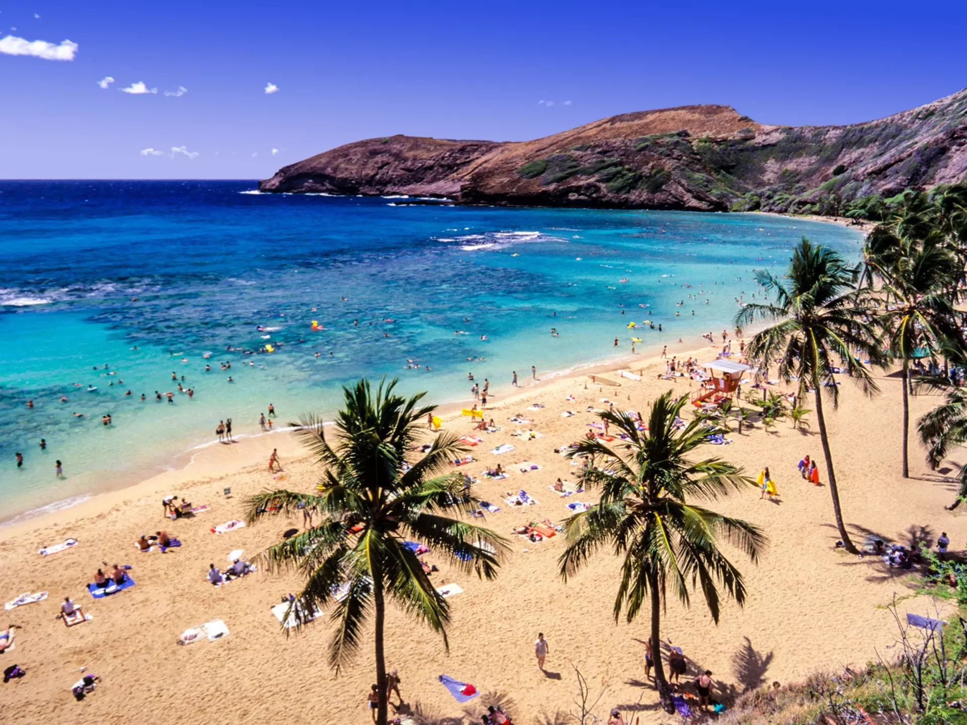 Beach and palms at Hanauma Bay Nature Preserve