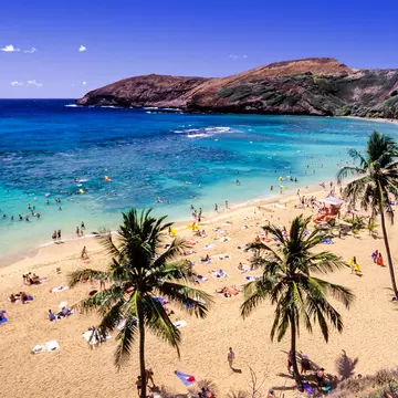 Beach and palms at Hanauma Bay Nature Preserve
