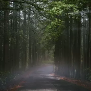 The road to Point Reyes. Benjamin Heath for Lonely Planet