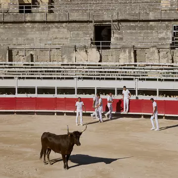 Course Camarguaise, les Arènes, Arles, France. 