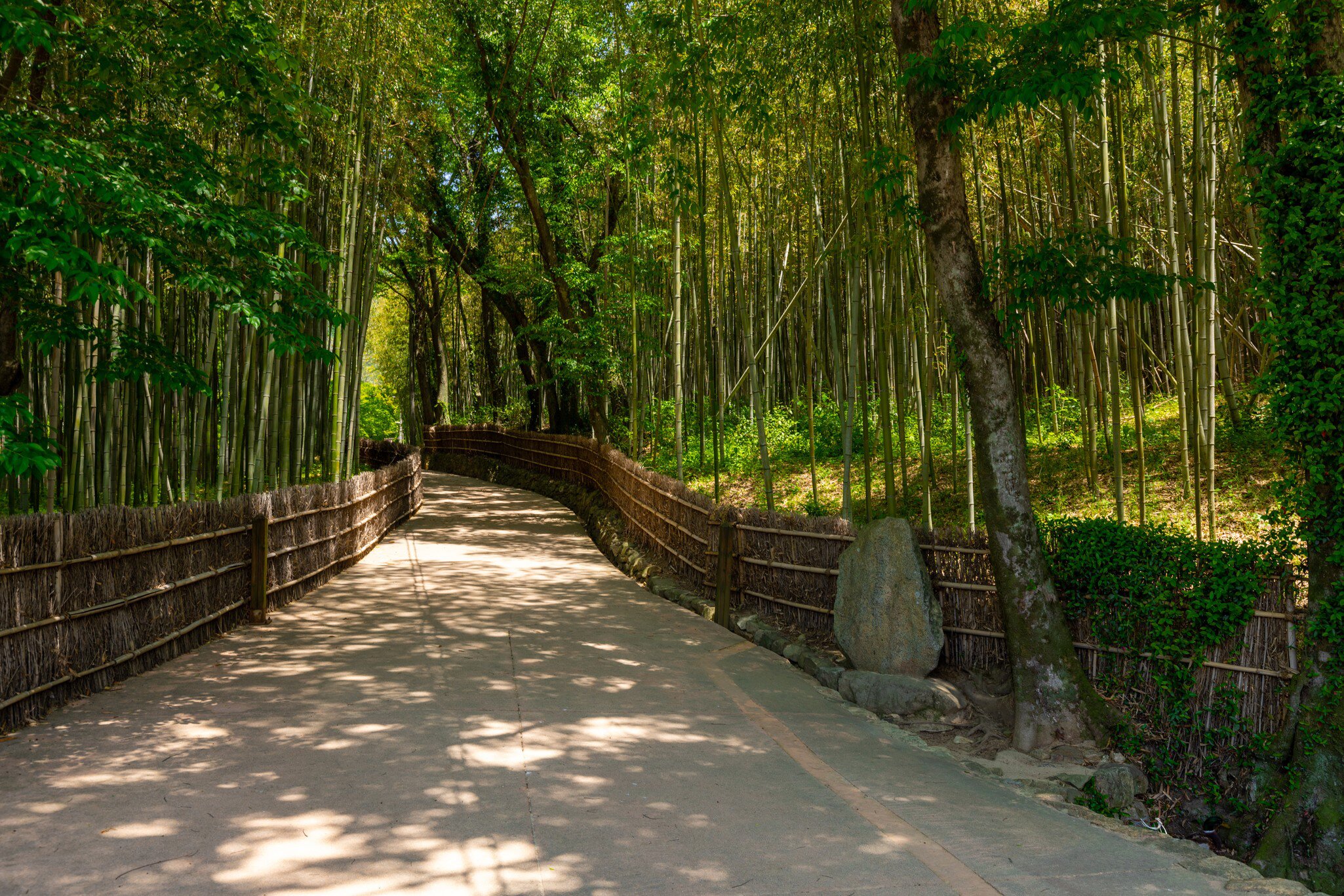 The scenery of Damyang Juknokwon
1660993518
죽녹원
The scenery of Damyang Juknokwon
