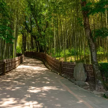 The scenery of Damyang Juknokwon
1660993518
죽녹원
The scenery of Damyang Juknokwon