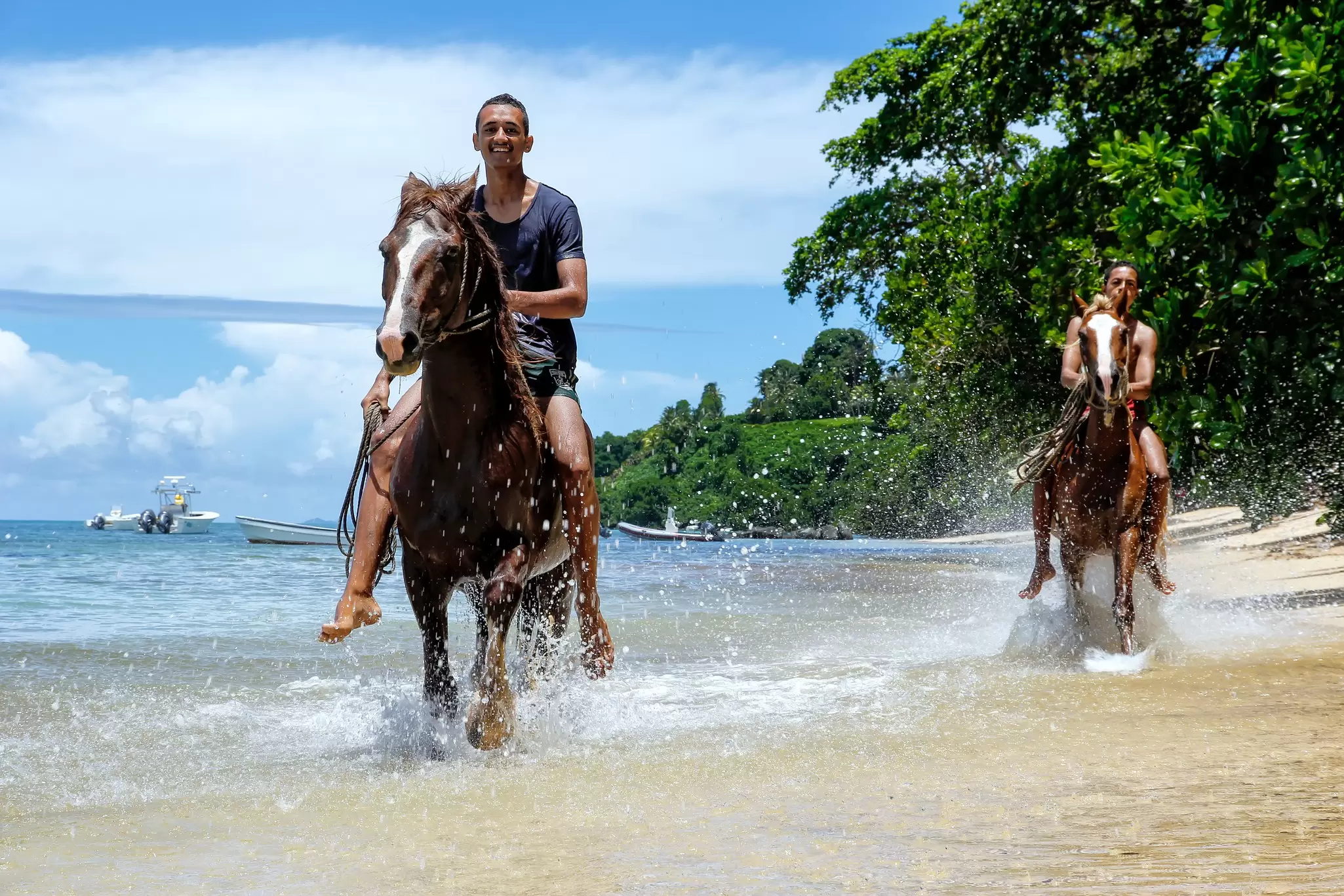 Two men riding horses along a tree-lined beach as the water splashes up