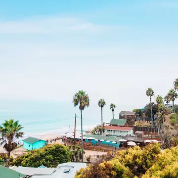 Arecaceae,  Palm Tree,  Plant,  Summer,  Tree
Landscape view of Crystal Cove State Park, including its restored beach cottages