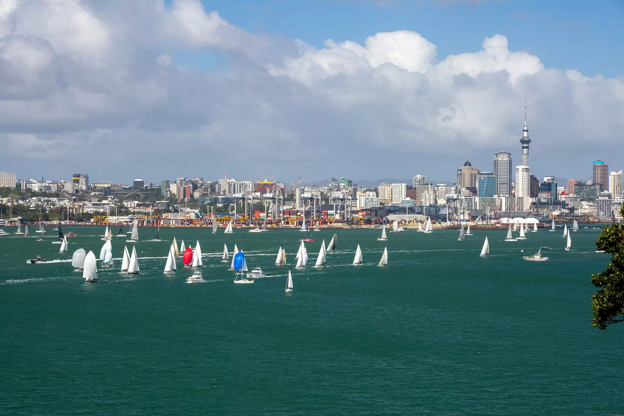 Choose the best time of year to visit Auckland with this seasonal guide © denizunlusu / Getty Images