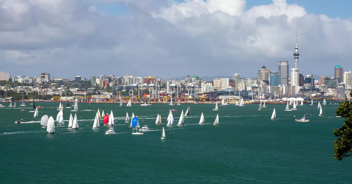 The 11 best things to do in Auckland - Lonely Planet