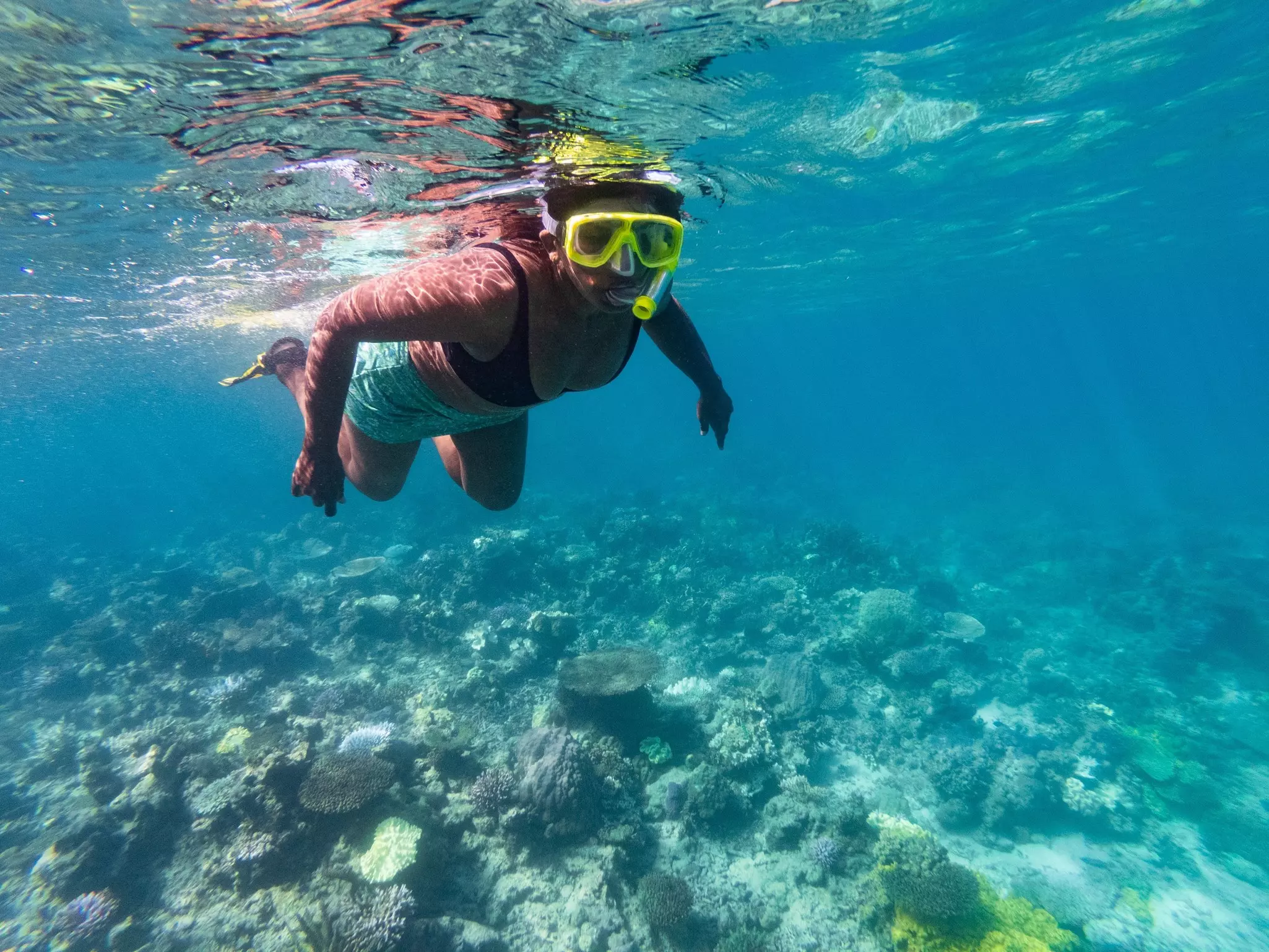 A woman snorkeling over a reef in the blue waters of Fiji
