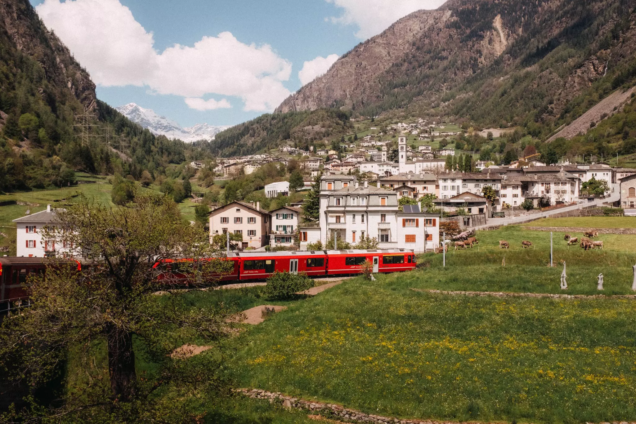 A red train in a green field with a small town and mountains behind it