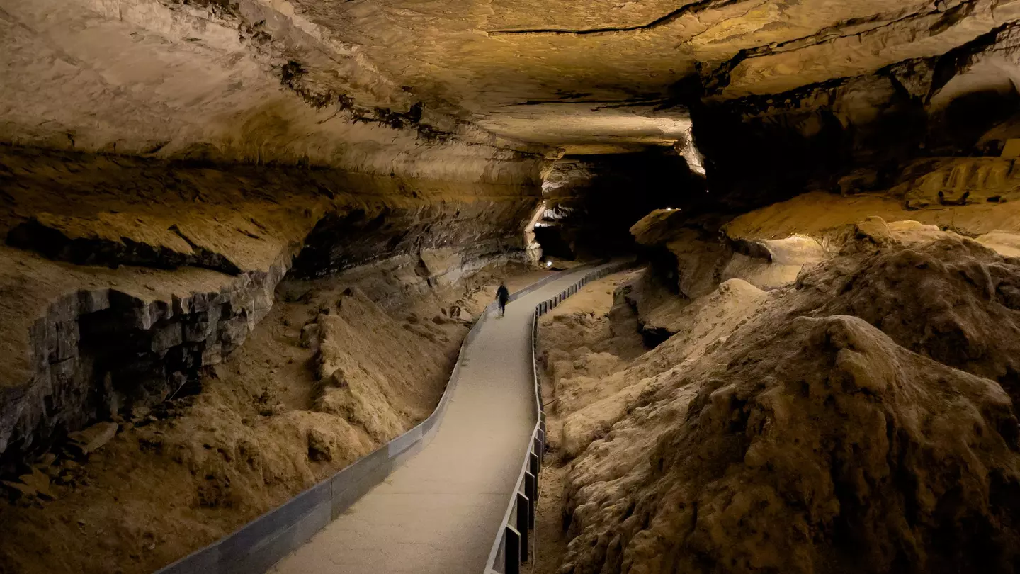 A huge passageway in Mammoth Cave, Kentucky