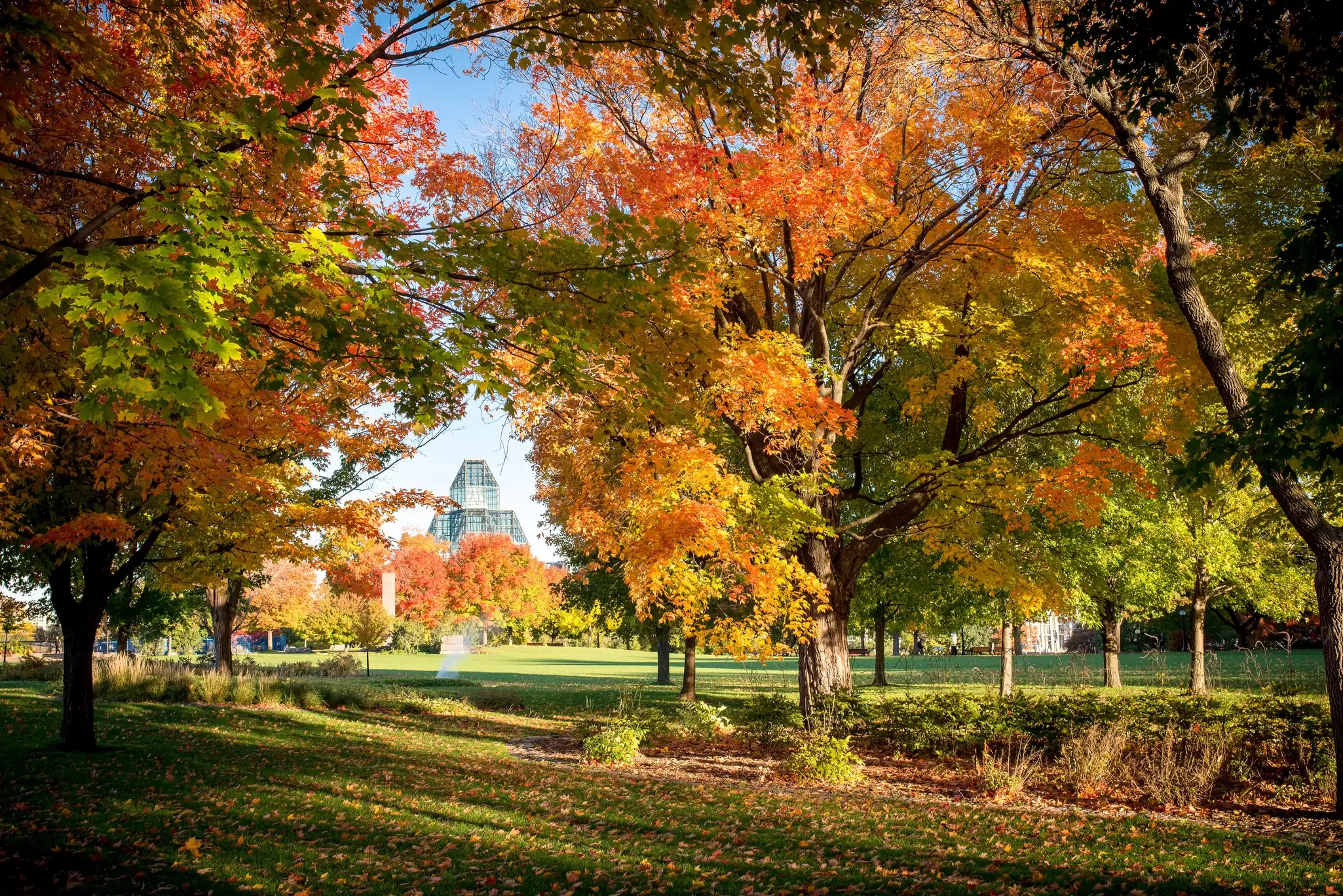 Colourful autumn leaves on the trees in Majors Hill Park in Ottawa form a frame around the National Gallery of Canada building in the distance. Danielle Donders / Getty Images