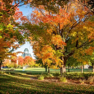 Colourful autumn leaves on the trees in Majors Hill Park in Ottawa form a frame around the National Gallery of Canada building in the distance. Danielle Donders / Getty Images