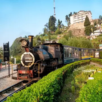 Tourists travel in a steam locomotive engine Toy train of Darjeeling Himalayan Railway (DHR) in Darjeeling, India. 