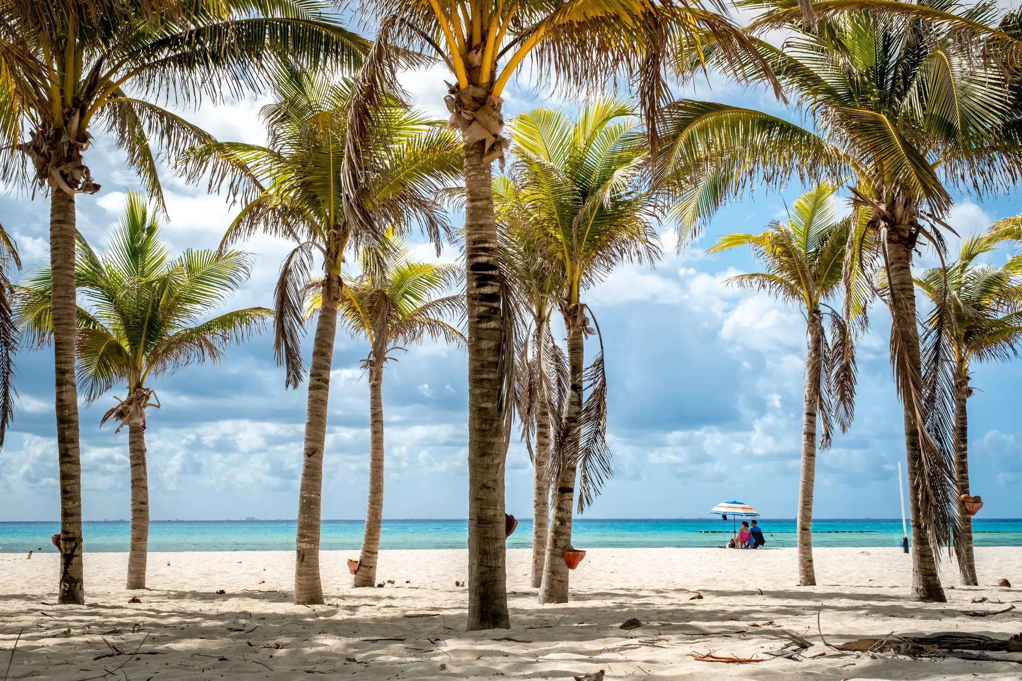 Tall coconut trees back a white sand beach at Playacar