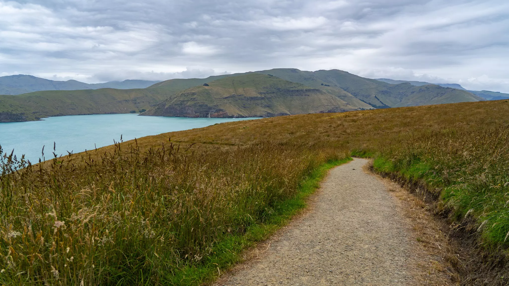 Taylors mistake walkway with views of the sea beyond on an overcast day - near Christchurch, Canterbury, New Zealand