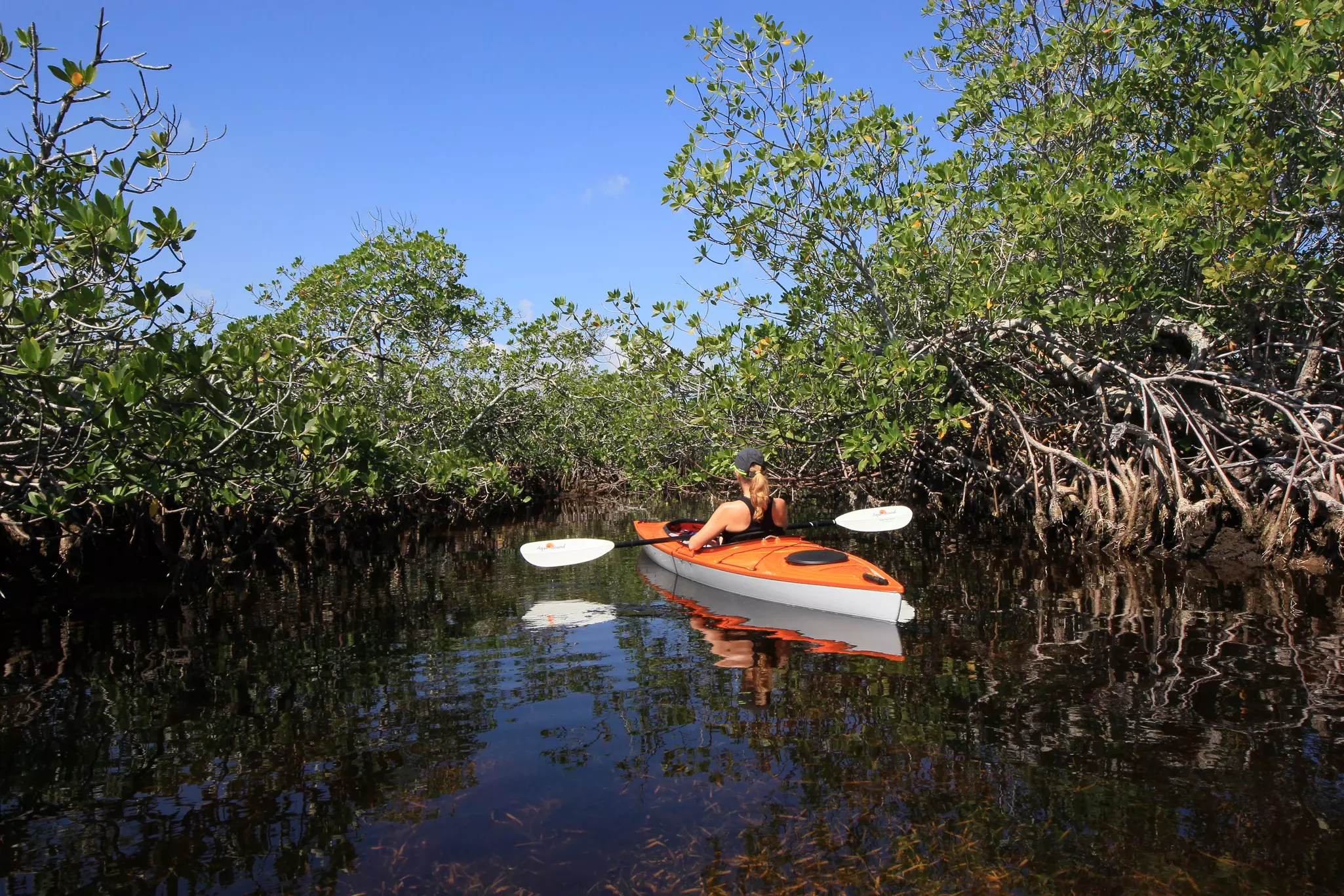 A woman paddles in an orange kayak among the roots of mangrove trees.