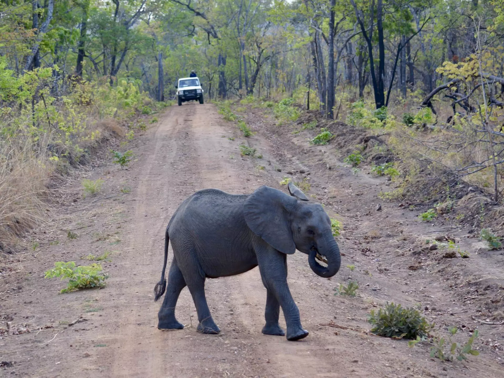Explore the countryside and nature reserves at your leisure on a road trip in Malawi © Maximum Exposure PR / Shutterstock