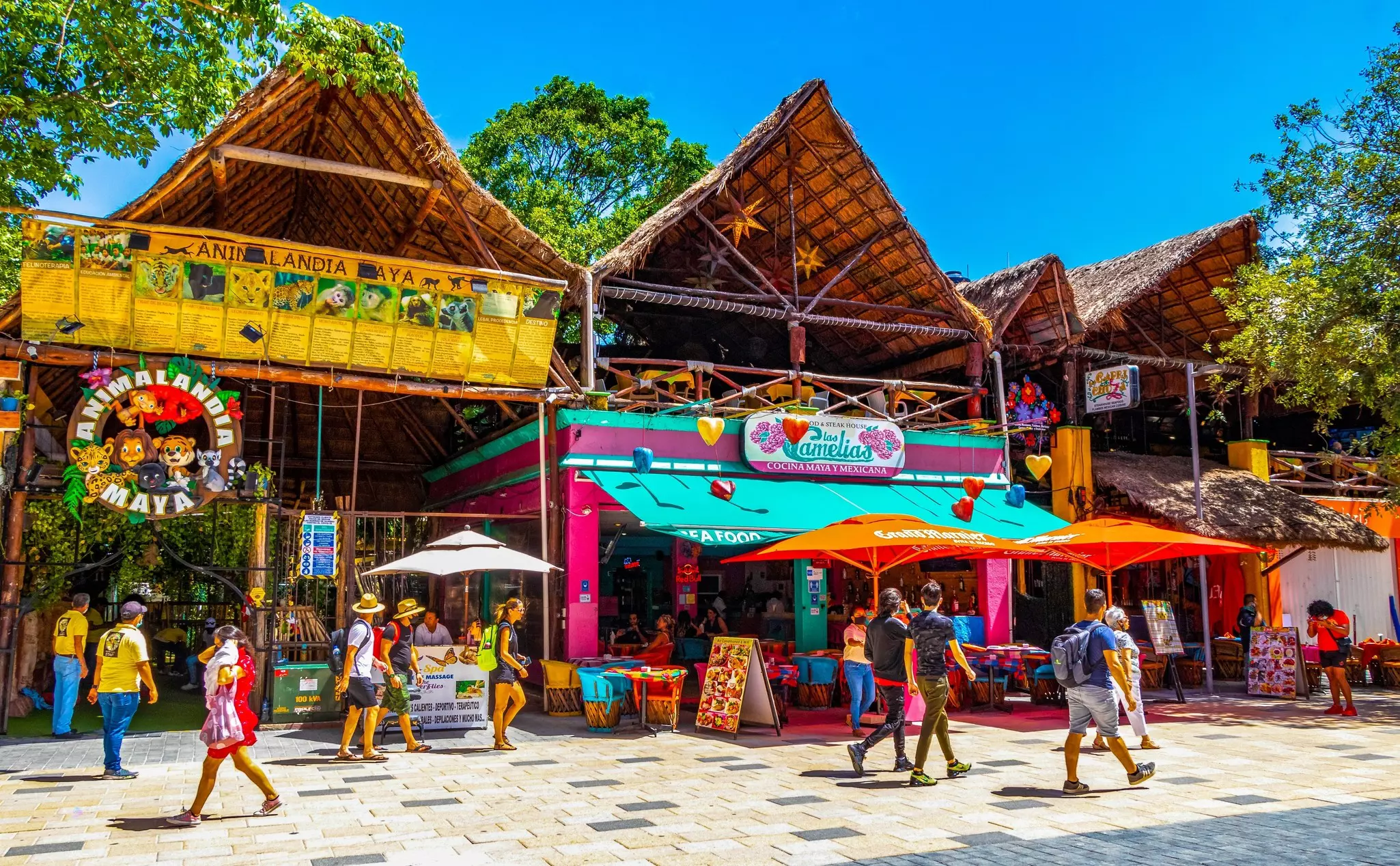 Typical street road and cityscape of La Quinta Avenida/Fifth Avenue at Playa del Carmen