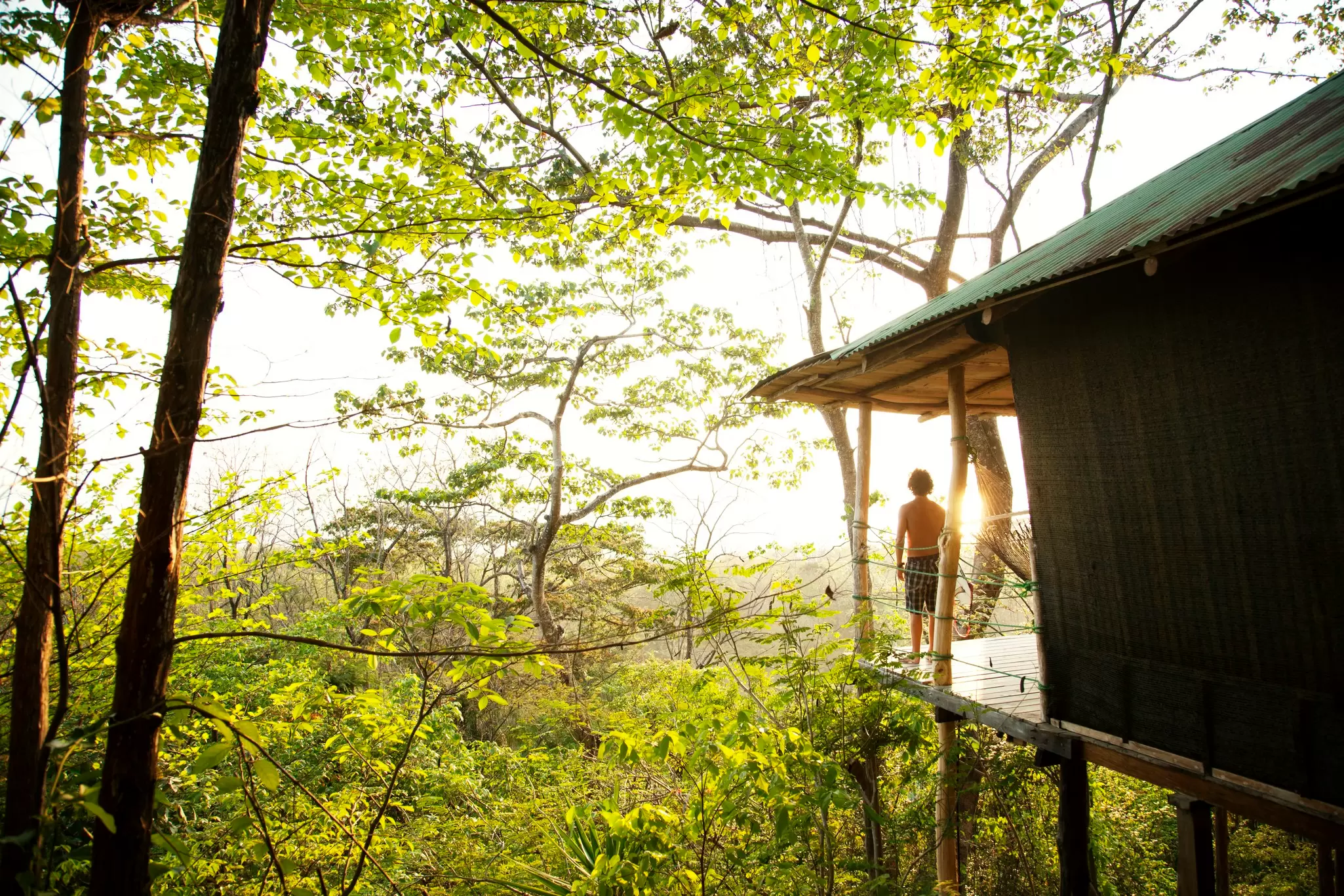A treehouse stay surrounded by rainforest in Costa Rica