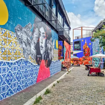 Man sitting in an alley in front of a mural of a woman's head with two fish floating by her