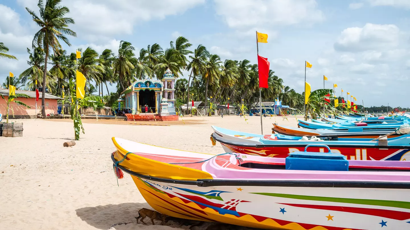 Brightly painted fishing boats sit on a sandy, tropical beach. Palm trees line the inner edge of the beach.