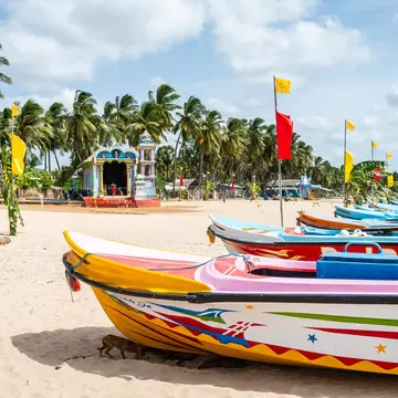 Brightly painted fishing boats sit on a sandy, tropical beach. Palm trees line the inner edge of the beach.