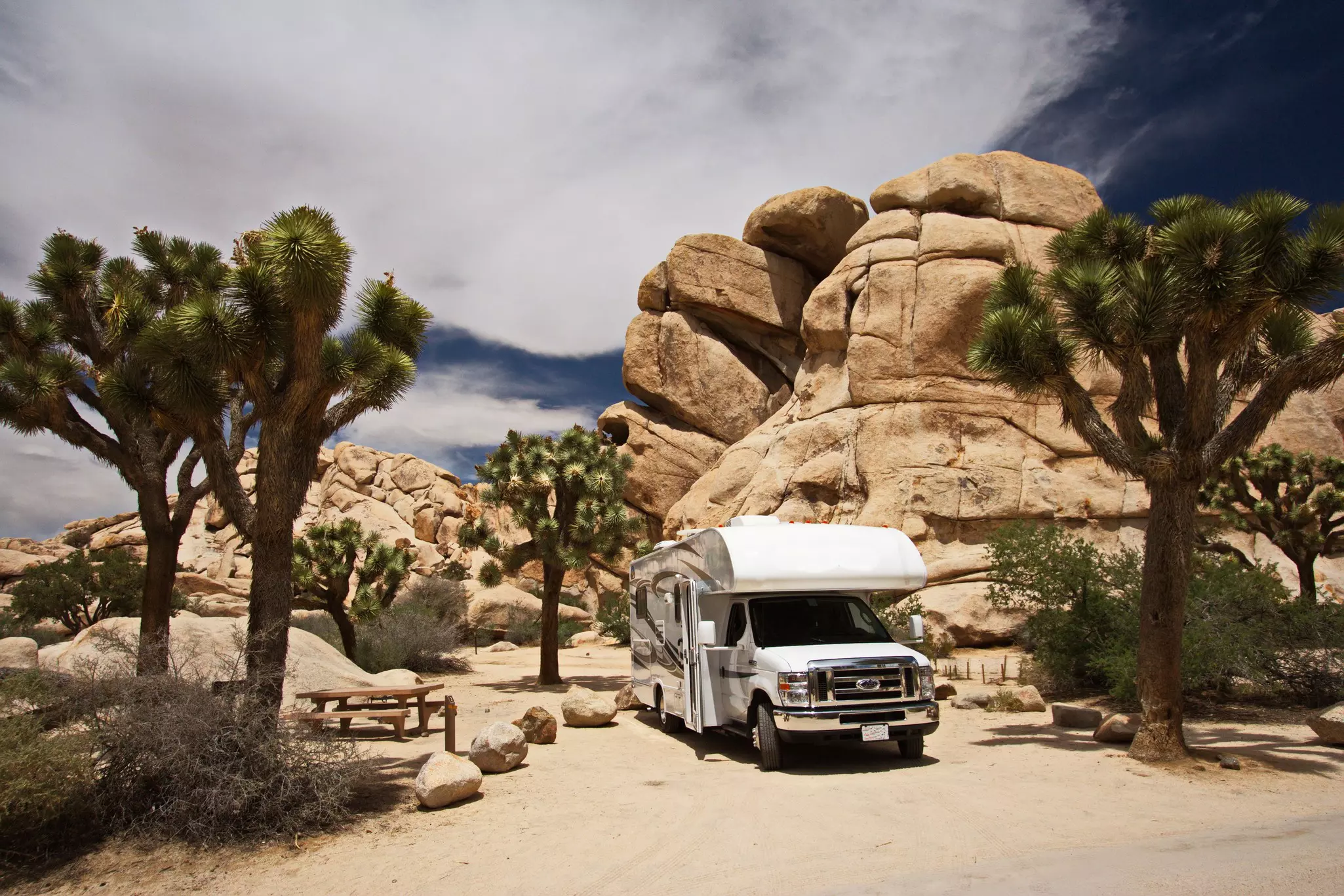 Joshua Tree National Park beckons travelers with unique plants and trees © Karel Stipek / Shutterstock