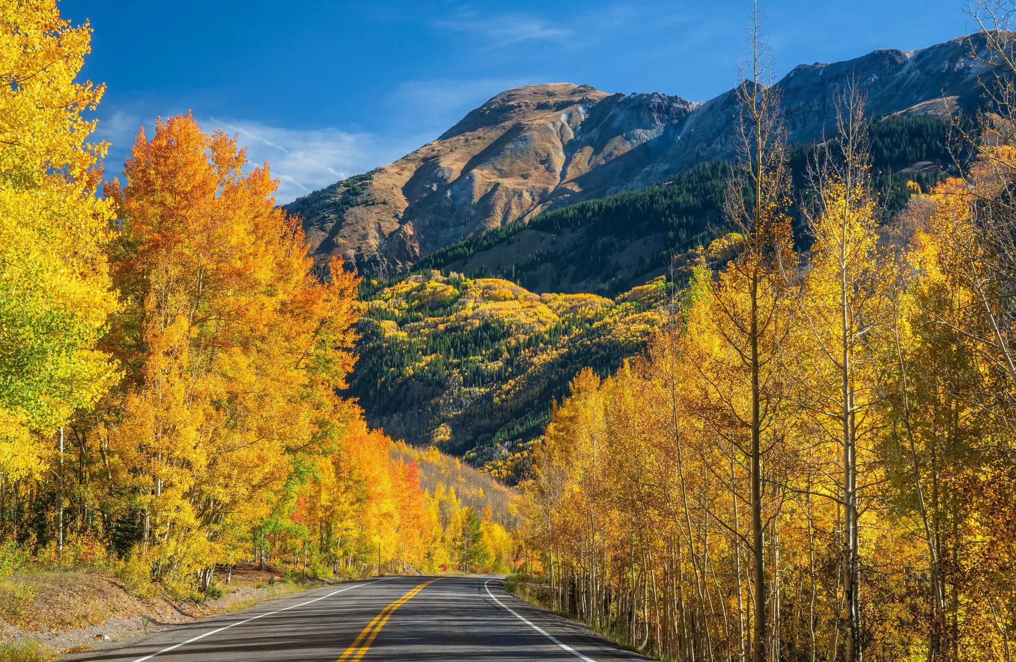 Autumn Aspen scenery on the scenic Million Dollar Highway - Colorado Rocky Mountains