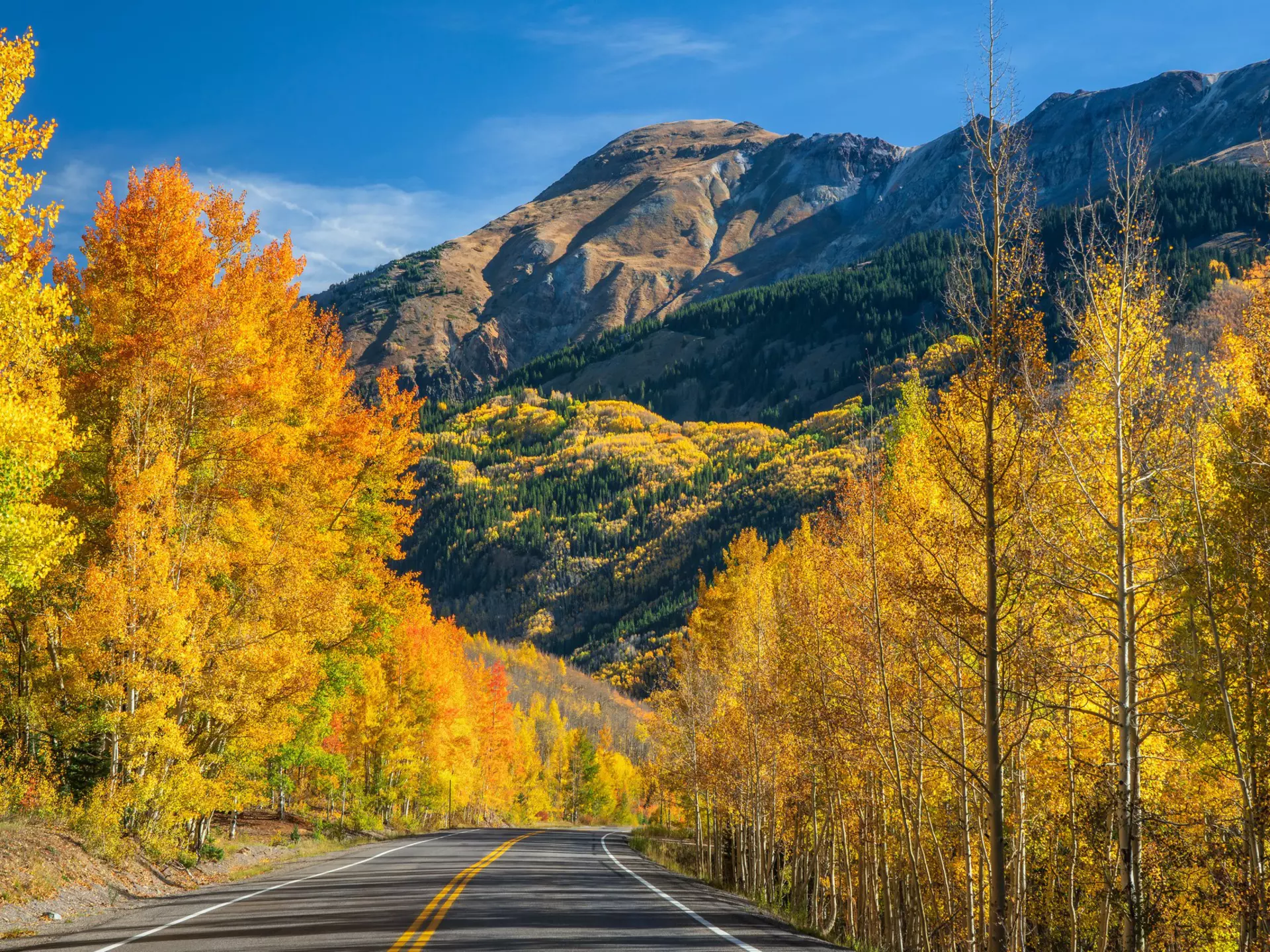 The Million Dollar Highway in Colorado surrounded by gold-colored tree leaves in fall