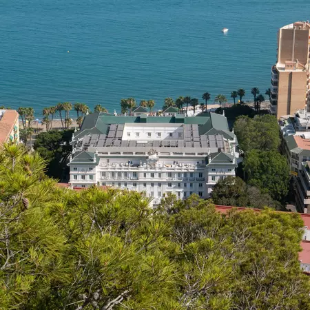  A large white building surrounded by palm trees faces the sea.