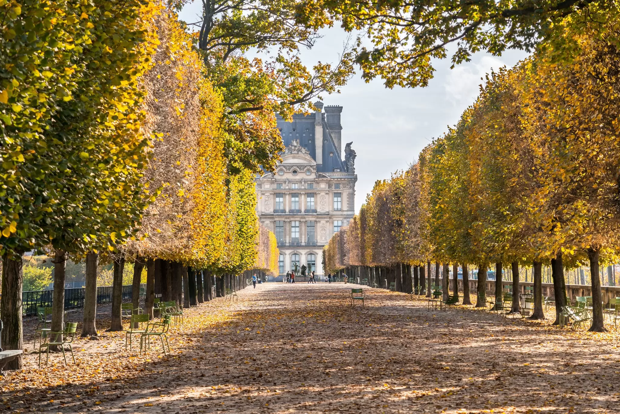 A view of a path lined with trees in autumn colours in Paris in the Jardin des Tuileries park near Louvre Museum  