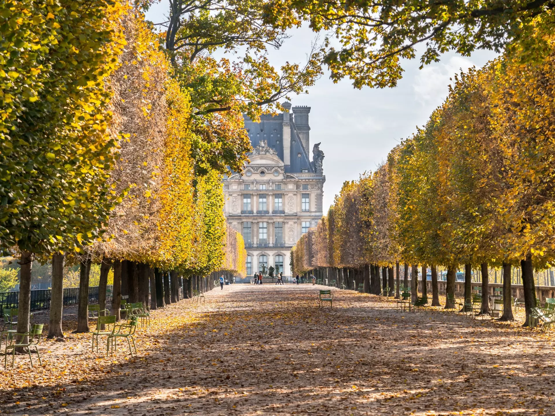 A view of a path lined with trees in autumn colours in Paris in the Jardin des Tuileries park near Louvre Museum  