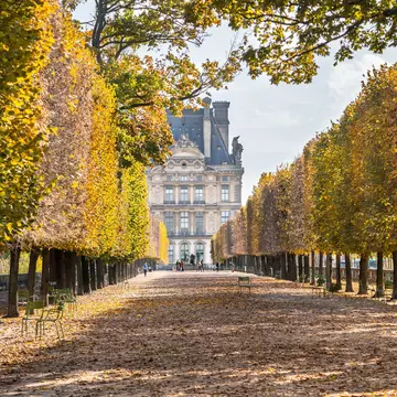 A view of a path lined with trees in autumn colours in Paris in the Jardin des Tuileries park near Louvre Museum  