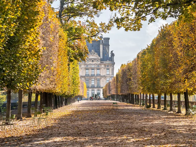 Autumn in Paris in the park near Louvre Museum  License Type: media  Download Time: 2023-11-04T15:13:26.000Z  User: Norma.PrauseBrewer_LonelyPlanet  Is Editorial: No  purchase_order: