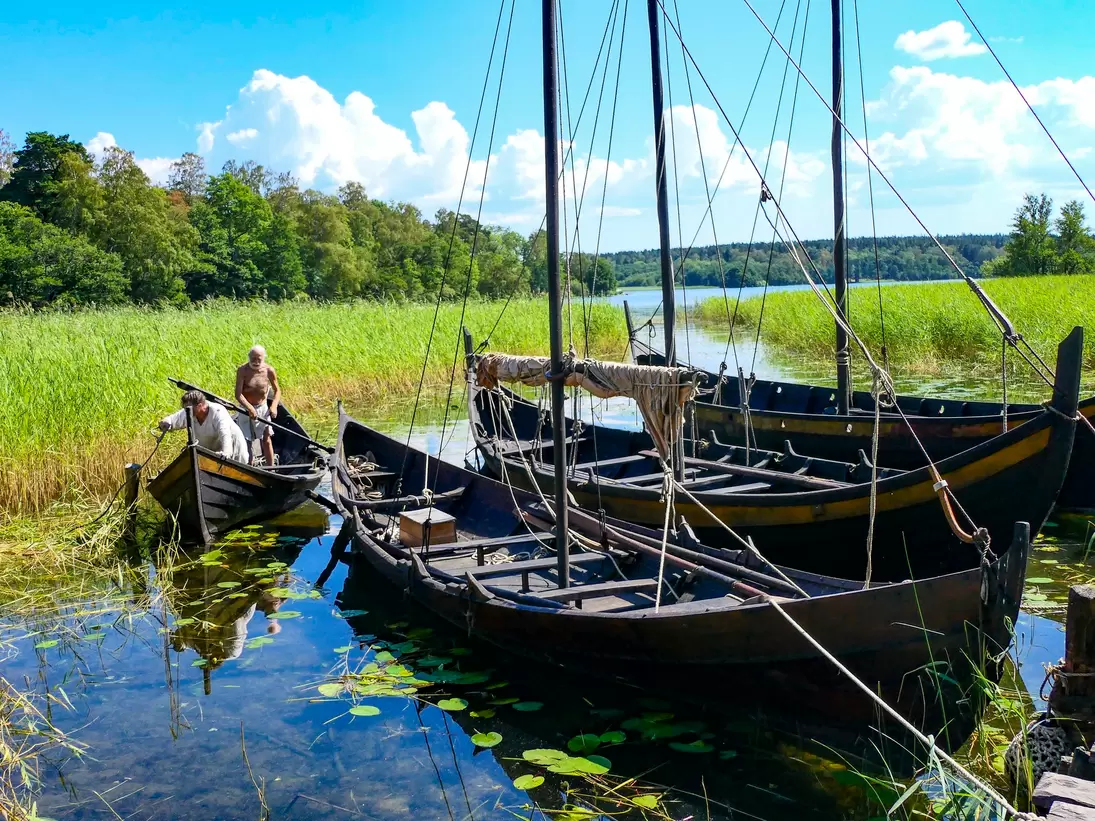 Viking long ships in the harbor at the Viking settlement of Birka in Lake Malaren.
