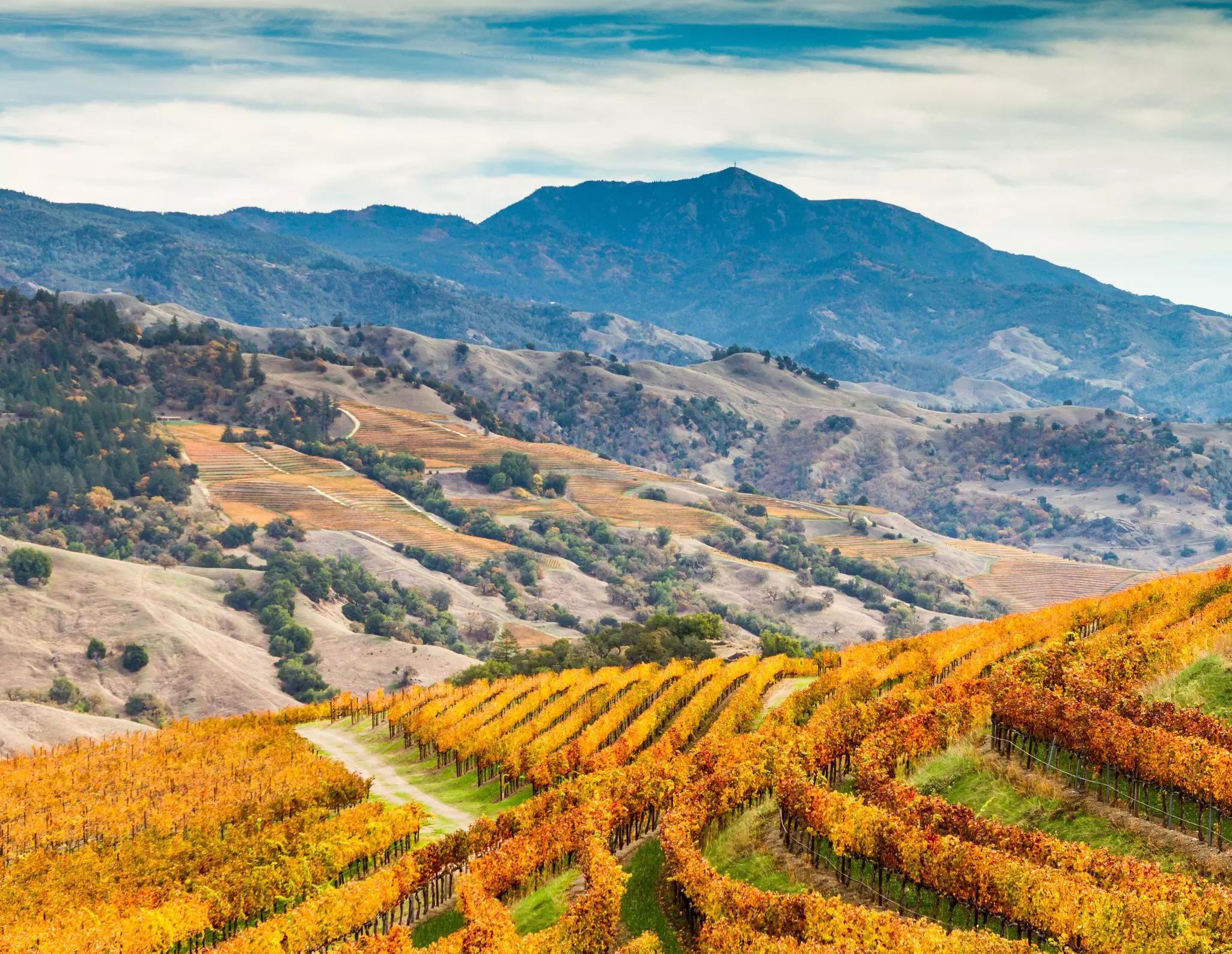 California's vineyards erupt in golden and orange hues in fall © Getty Images / iStockphoto