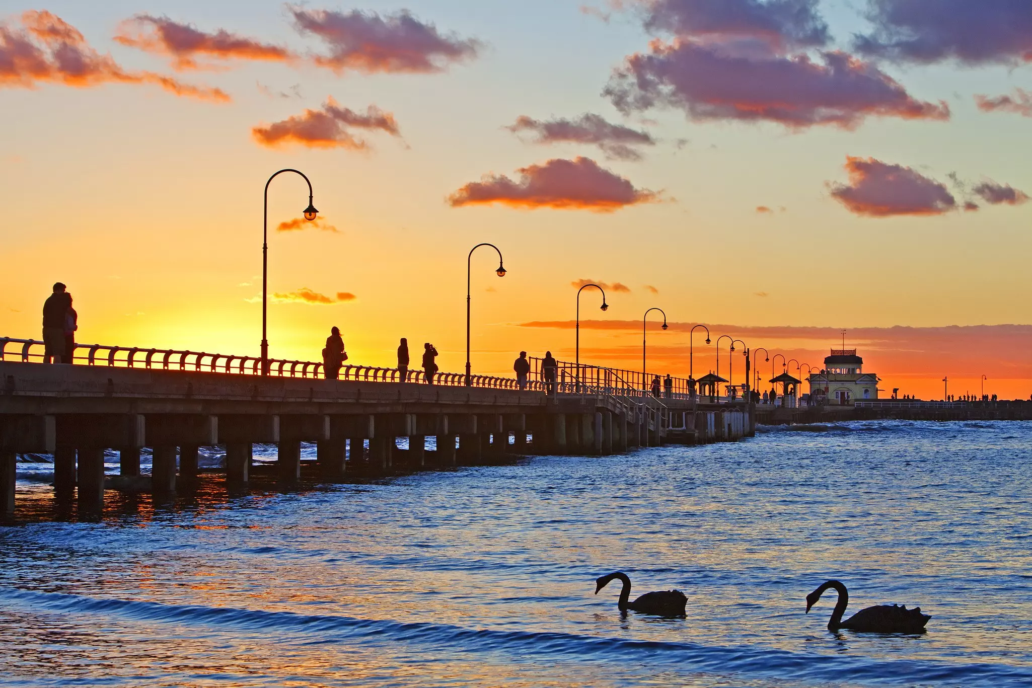 Sunset at St. Kilda Pier, with swans in the foreground