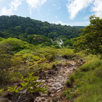 Rainforest in the Rincon de la Vieja national park in Costa Rica.