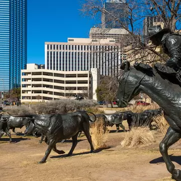 Bronze longhorn cattle and a mounted cowboy sculpture in Pioneer Plaza below downtown Dallas towers.