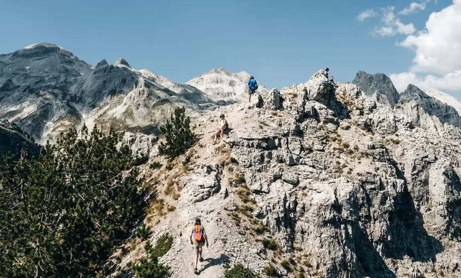Hikers on a rocky limestone ridge in Albania's mountains, pine trees and bare grey peaks under blue sky