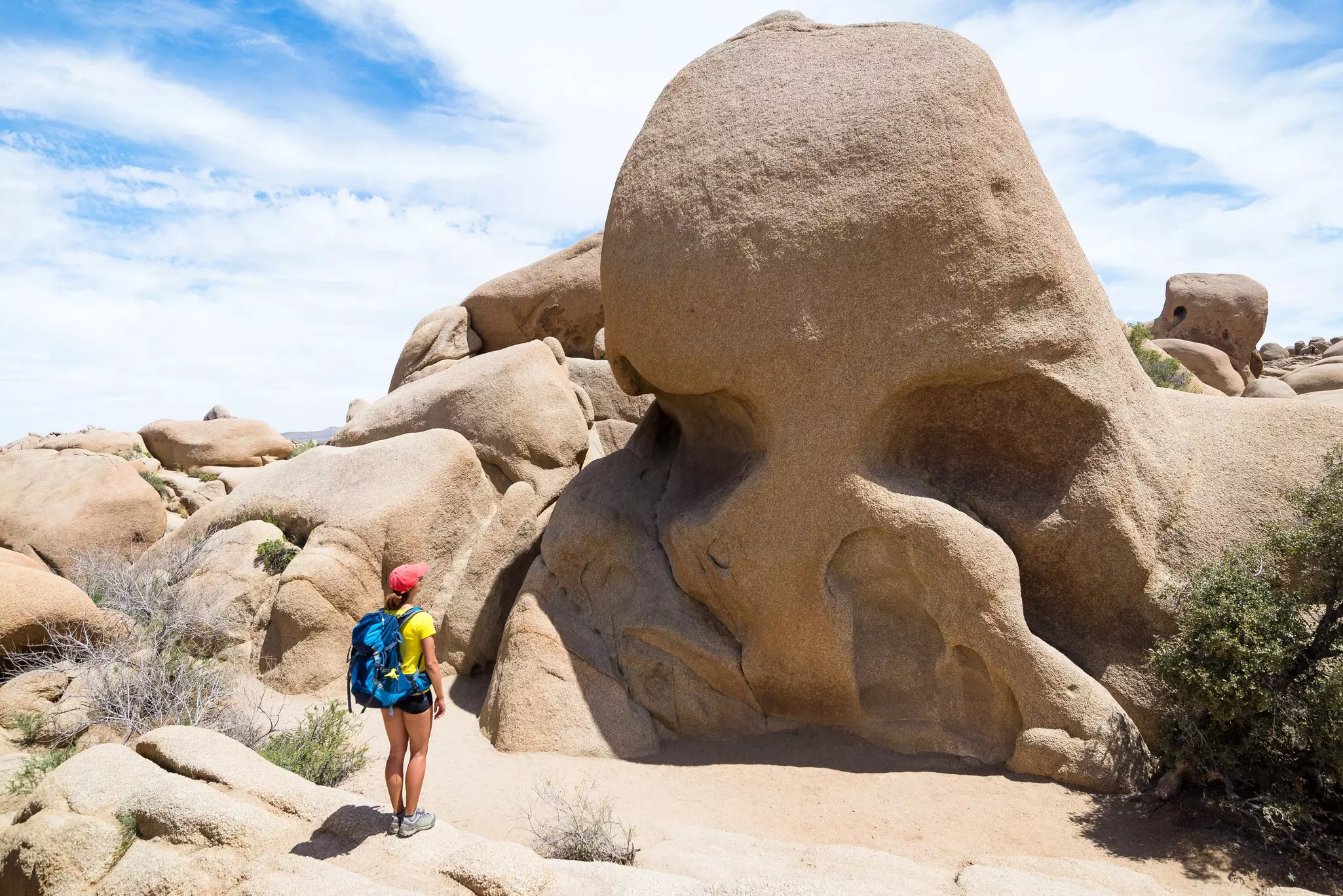 Skull Rock is a popular photo spot in Joshua Tree National Park © blazg / Shutterstock