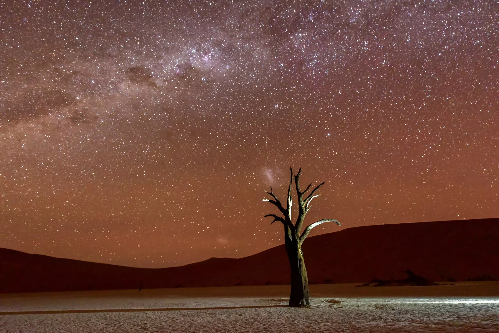The dead Camelthorn trees in the famous Deadvlei are one of the Hotspots for Photographers all over the world.