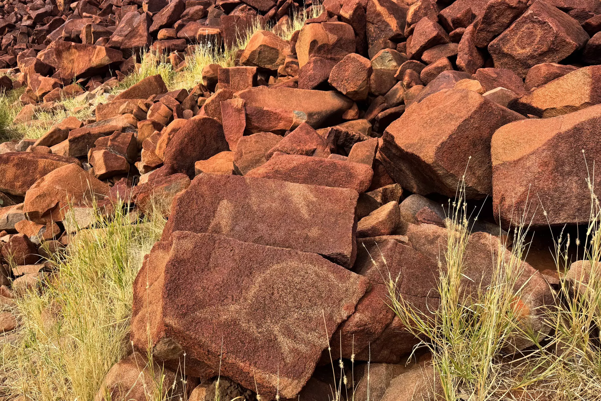 A series of rocks each with the outlines of ancient artworks on them.