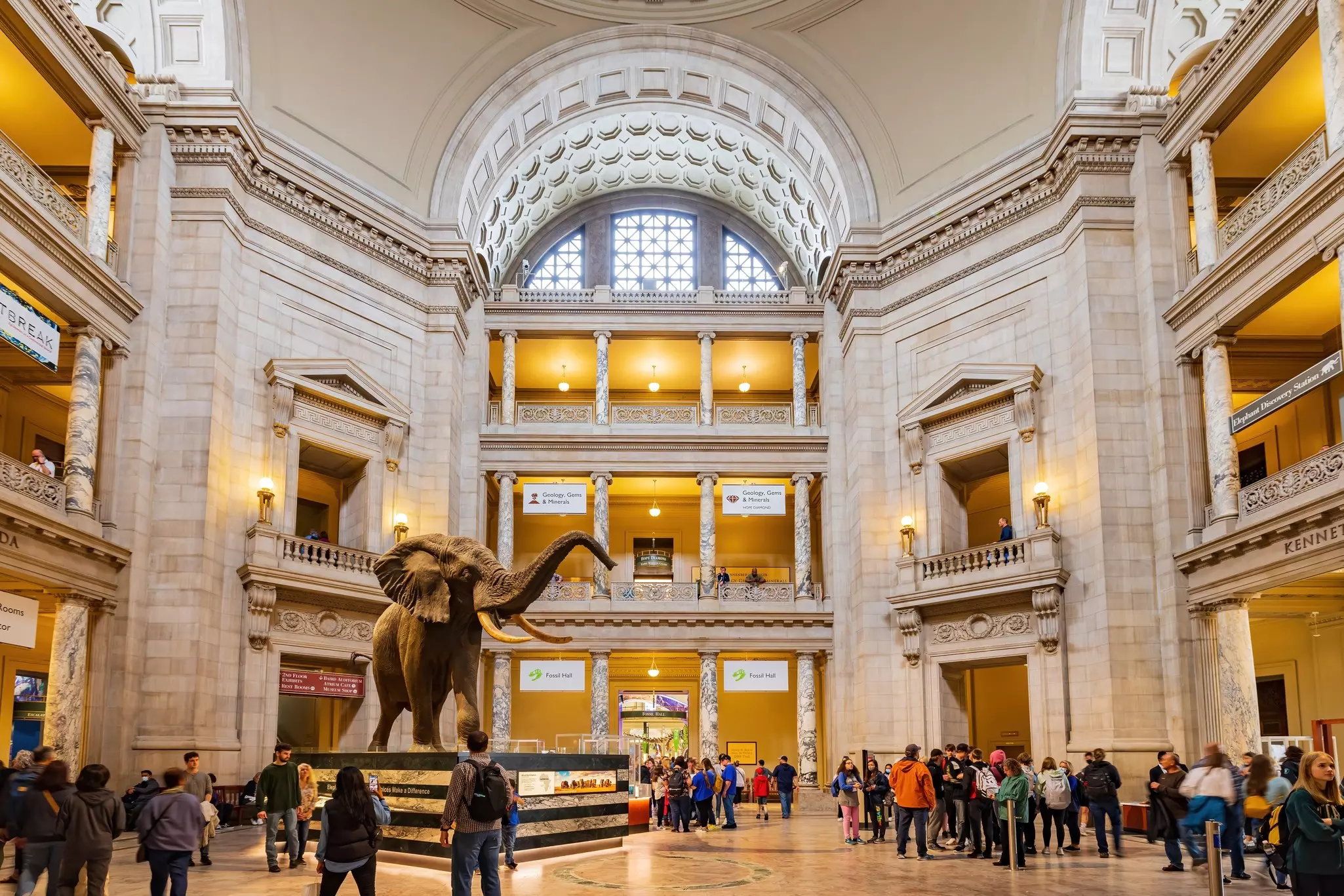 Washington DC, MAR 31 2022 - Interior view of the Smithsonian National Museum of Natural History, License Type: media, Download Time: 2026-05-21T17:02:18.000Z, User: katelyn.perry_lonelyplanet, Editorial: true, purchase_order: 65050 - Digital Destinations and Articles, job: wip, client: wip, other: Katelyn Perry