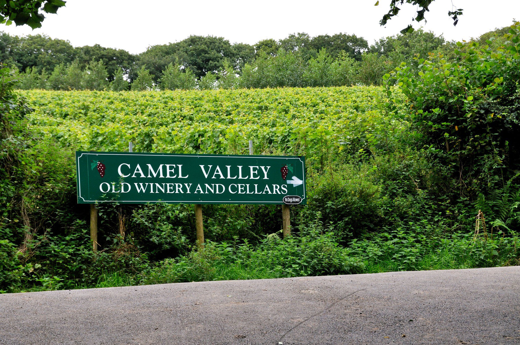 **RIGHTS MANAGED**
Camel Valley Vineyard, Old Winery and Cellars, Camel Trail, Cornwall, England. Uploaded for app use only.