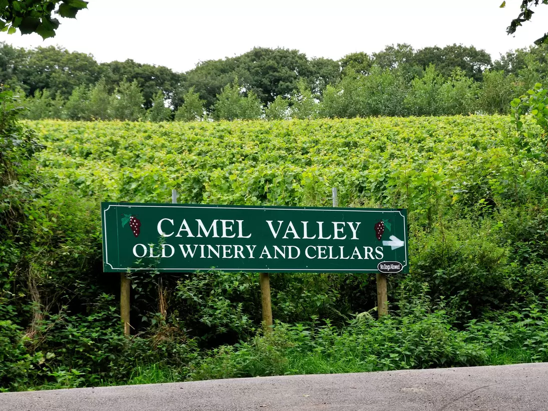 **RIGHTS MANAGED**
Camel Valley Vineyard, Old Winery and Cellars, Camel Trail, Cornwall, England. Uploaded for app use only.