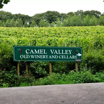 **RIGHTS MANAGED**
Camel Valley Vineyard, Old Winery and Cellars, Camel Trail, Cornwall, England. Uploaded for app use only.